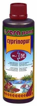 Sera koi pond Cyprinopur 500 ml (10.000 liter vijver), Tuin en Terras, Ophalen of Verzenden, Nieuw, Overige typen