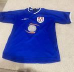 Millwall FC - Engelse voetbalcompetitie - 2001 -, Nieuw