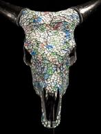 Geen reserveprijs - Adembenemende koeien schedel met Glass