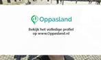 Gert Jan zoekt een oppas in Leek.