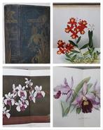 William Watson - Orchids. Their Culture and Management -