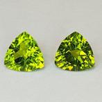 2 pcs Olivijn - 5.26 ct - Antwerp Laboratory for Gemstone, Sieraden, Tassen en Uiterlijk, Edelstenen, Nieuw