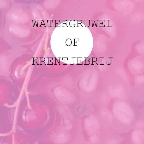9789403689265 Watergruwel of Krentjebrij, Boeken, Economie, Management en Marketing, Nieuw, Verzenden