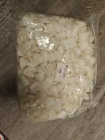 White Cay Cay – 1 kg – Witte schelpen 1 kilo, Hobby en Vrije tijd, Knutselen, Ophalen of Verzenden, Nieuw