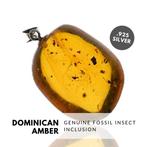 Sterling zilveren Dominicaanse amberhanger - met fossiele