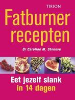 Fatburner recepten, Nieuw, Verzenden