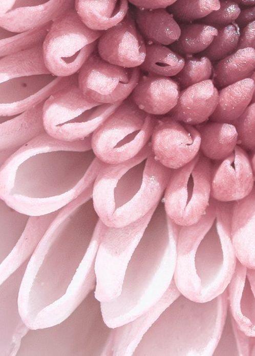 Inna Etuvgi - Pink Vortex of Bloom, Antiek en Kunst, Kunst | Schilderijen | Modern