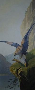 M. Walsh (XIX) - Eagle on Cliff - NO RESERVE