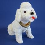 Witte poedel hoedenplank hond, Nieuw, Verzenden