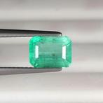 Zonder minimumprijs - 1 pcs Groen Smaragd - 1.49 ct -, Nieuw