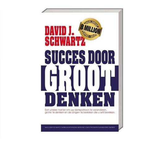 9789461886668 Succes door groot denken | Tweedehands, Boeken, Studieboeken en Cursussen, Zo goed als nieuw, Verzenden