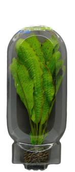 Superfish easy plant middel 20 cm nr. 12 - SuperFish, Dieren en Toebehoren, Nieuw, Verzenden