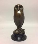 sculptuur, The young owl - 28 cm - Brons, Antiek en Kunst