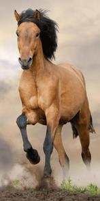 Strandlaken galopperend bruin paard - katoen - 70x140 cm, Nieuw, Verzenden