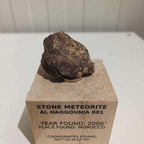 Al Haggounia 001 meteoriet - Chrondiet meteoriet - Op, Verzamelen, Mineralen en Fossielen