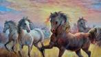 Domenico Ronca (1964) - Wild horses in backlight
