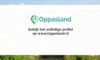 Jan zoekt een oppas in De Meern voor 2 kinderen.