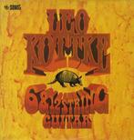 LP gebruikt - Leo Kottke - 6 &amp; 12 String Guitar, Cd's en Dvd's, Zo goed als nieuw, Verzenden