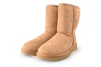 Ugg Laarzen in maat 38 Bruin | 10% extra korting, Kleding | Dames, Schoenen, Hoge laarzen, Bruin, Verzenden, Nieuw