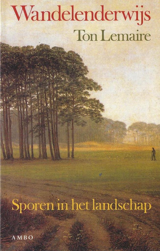 WANDELENDERWIJS 9789026314872 T. Lemaire, Boeken, Filosofie, Gelezen, Verzenden
