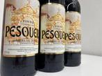 1993 Bodegas Alejandro Fernández, Pesquera Tinto - Ribera, Nieuw