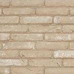 Wienerberger Salina Greige Handvorm Ecobrick, Doe-het-zelf en Verbouw, Metselstenen, Verzenden, Nieuw