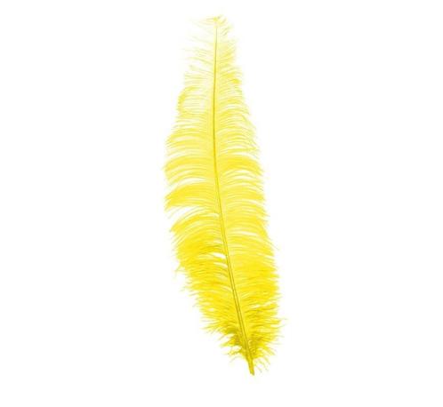 Gele Struisvogelveren 40cm 12st, Hobby en Vrije tijd, Feestartikelen, Nieuw, Verzenden