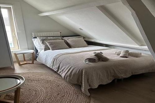Studio Snoekstraat in Rotterdam, Huizen en Kamers, Kamers te huur, 20 tot 35 m², Rotterdam