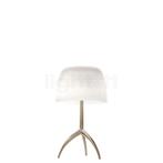 Foscarini Lumiere Tafellamp piccola, champagne/gestippeld -, Verzenden, Nieuw, Glas