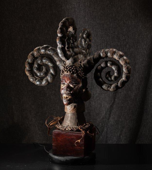 Indrukwekkende Ekoï-kroon. - ekoi - Nigeria (Zonder, Antiek en Kunst, Kunst | Niet-Westerse kunst