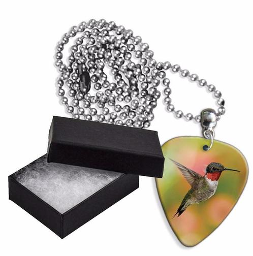 Aluminium plectrum ketting met afbeelding van een Kolibrie, Verzamelen, Overige Verzamelen, Nieuw, Ophalen of Verzenden