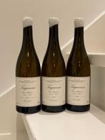 2023 Castilla la Mancha Taganan Blanco Envinate - D.O., Nieuw