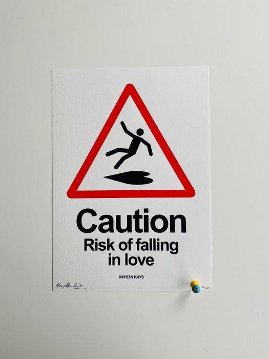 Hayden Kays (1985) - Falling for you, Antiek en Kunst, Antiek | Overige Antiek