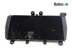 Radiateur Triumph Speed Triple 955 2002-2004 (VIN:, Verzenden, Gebruikt