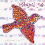 cd - Widespread Panic - Til The Medicine Takes, Verzenden, Zo goed als nieuw