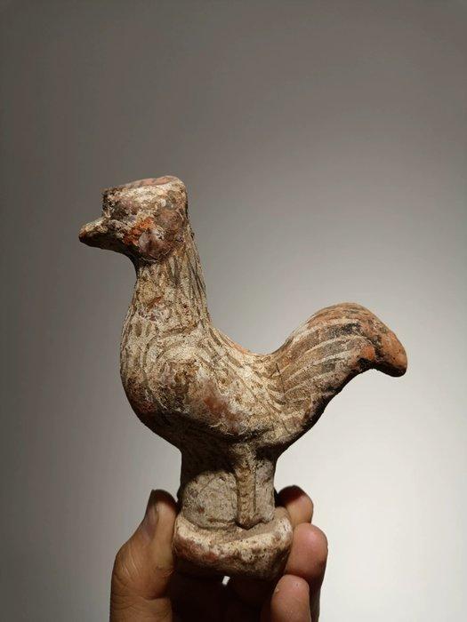 kip - Ceramic - Tang Dynasty (618-907), Verzamelen, Mineralen en Fossielen