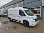 Fiat Ducato 2.3D L2H2 Koelwagen/ Carrier -20/ Standby 230V, Gebruikt, Euro 6, Wit, Lease