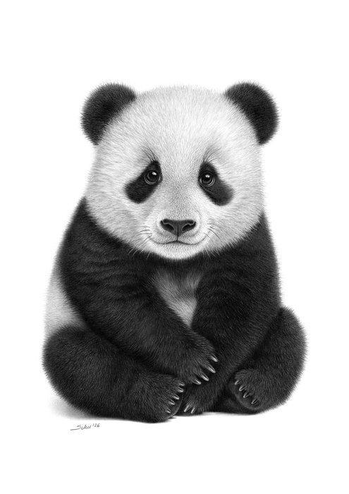 Schu - Panda Cub, Antiek en Kunst, Kunst | Designobjecten