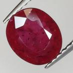 Rood Robijn - 1.51 ct - Antwerp Laboratory for Gemstone, Nieuw