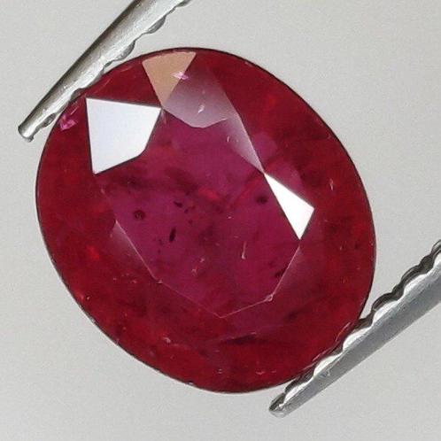 Rood Robijn - 1.51 ct - Antwerp Laboratory for Gemstone, Sieraden, Tassen en Uiterlijk, Edelstenen