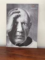 Apple - Picasso - Reclamebord - Vintage Apple-reclame -, Antiek en Kunst, Antiek | Wandborden en Tegels