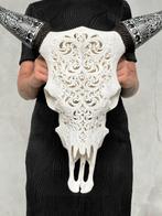 Geen reserveprijs - Witte gesneden koeienschedel met