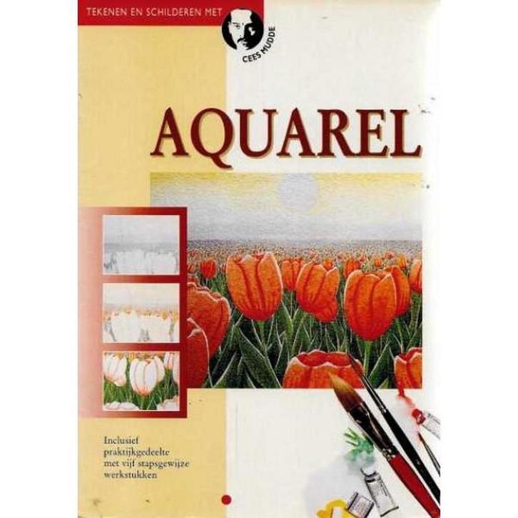 Aquarel / Tekenen en schilderen met Cees Mudde 9789021323923, Boeken, Hobby en Vrije tijd, Gelezen, Verzenden