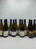 2024 Viognier Bruyere David - Gerin La Champine Viognier, Nieuw