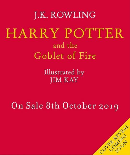 9781408845677 Harry Potter and the Goblet of Fire, Boeken, Fantasy, Zo goed als nieuw, Verzenden