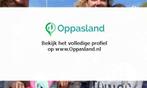 henk zoekt een oppas in Den Haag voor 3 kinderen op maand..., Vacatures, Vacatures | Onderwijs, Wetenschap en Onderzoek