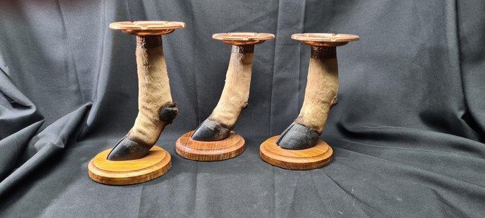 3 African antelope feet taxidermy mounted as ashtrays -, Verzamelen, Dierenverzamelingen