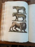 Giulio Ferrario - Il Costume Antico et Moderno. Africa, Antiek en Kunst, Antiek | Boeken en Bijbels