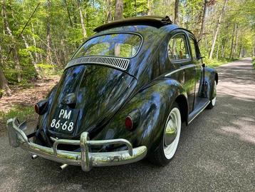 Volkswagen - Kever (Beetle) 1200 Ragtop - 1960