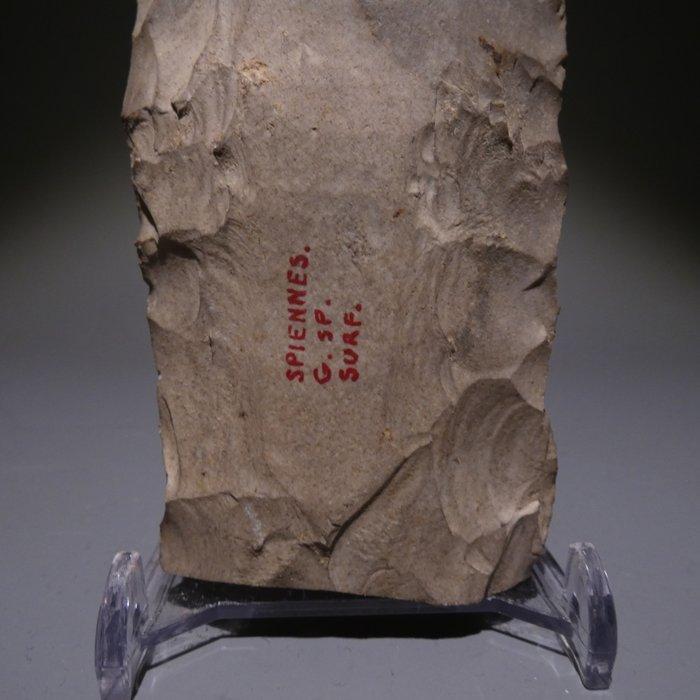 Neolithisch Grote vlam. 10,2 cm L. Mes - 5000 v.Chr. Bijl, Verzamelen, Mineralen en Fossielen